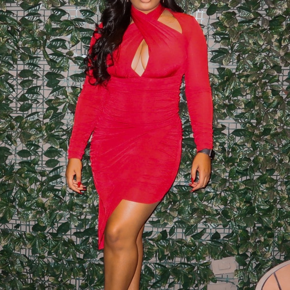Fashion Nova Fitted Dress